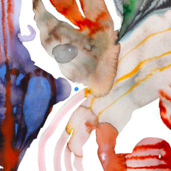 Alfombras Embryo I