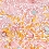 Tela The Wild Field Claire de Qu&eacute;netain Orange the-wild-field-orange