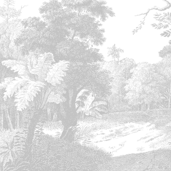 Papeles pintados panorámico Ebony Forest