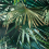 Papel pintado Polynesie Jean Paul Gaultier Emeraude 3344-02