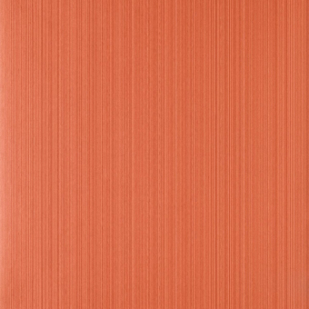 Papel pintado Drag