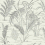 Papel pintado Lake Cane Coordonn&eacute; Onix A00016