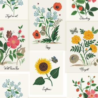 Papel pintado Botanical Prints
