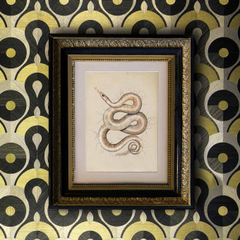 Revestimiento mural Queen Cobra