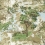 Papel pintado linocoln Toile Thibaut Green and Beige T10866
