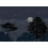 Papeles pintados panor&aacute;mico Eclipse Isidore Leroy Nocturne A-B-C-Nocturne