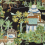 Papel pintado Mystic Garden Thibaut Black T20825