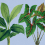 Papeles pintados panor&aacute;mico Leaf Garden Walls by Patel Blue DD121948