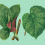 Papeles pintados panor&aacute;mico Leaf Garden Walls by Patel Green DD121952