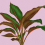 Papeles pintados panor&aacute;mico Leaf Garden Walls by Patel Purple DD121956