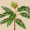 Papeles pintados panor&aacute;mico Leaf Garden Walls by Patel Peas DD121960