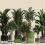 Papeles pintados panor&aacute;mico Plant shop Walls by Patel Green DD122084