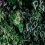 Papeles pintados panor&aacute;mico Deep Green Walls by Patel Green DD122096