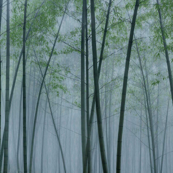 Papeles pintados panorámico In The Bamboo