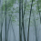 Papeles pintados panor&aacute;mico In The Bamboo Walls by Patel Blue DD122104