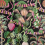 Revestimiento mural Precarious Pangolinos Zoffany Tropical ZPLW312981