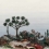 Papeles pintados panor&aacute;mico Yucca Nobilis Multi PAN210