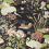 Papel pintado Crane & Frog Sanderson Ink Black/Multi DWAW217123