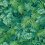 Papel pintado Royal Fernery Cole and Son Forest green 113/3009