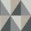 Papel pintado Apex Grand Cole and Son Grey 105/10043