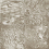 Gres porcel&aacute;nico I Variegati 1 Fioranese Argilla IV208R