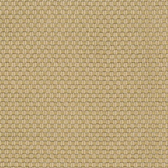 Tela Nexus Gold