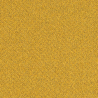 Tela Grain 2