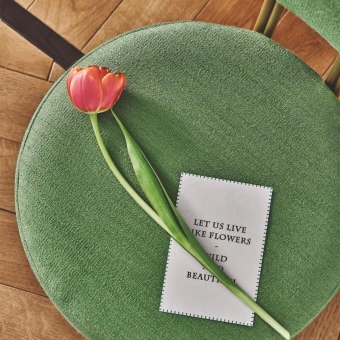 Tela Mundus