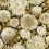 Papel pintado Dahlia Harlequin Fig Blossom/Nectar/Black Earth HQN2112846