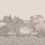 Papeles pintados panor&aacute;mico Idyll Cole and Son Platinum Matte 120/1002