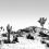 Papeles pintados panor&aacute;mico Arizona Edito Noir/blanc PP1N