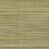 Papel pintado Bamb&ugrave; Stri&eacute; Dedar Clorofilla 01D2200300001