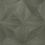 Papel pintado Bois Polar Star Coordonn&eacute; Fog A00426