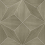 Papel pintado Bois Polar Star Coordonn&eacute; Silver A00428