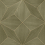 Papel pintado Bois Polar Star Coordonn&eacute; Steel A00429