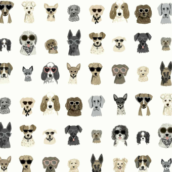 Papel pintado adhésif Dog Days
