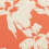 Tela Kyllikki Dedar Tender Coral 00T2202200002