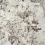 Gres porcel&aacute;nico Alaska carr&eacute; Cotto d'Este Alaska glossy EK8AR05