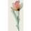 Gres porcel&aacute;nico Wonderwall Fleur grande dalle Cotto d'Este Fiore A EK9WP4A
