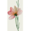 Gres porcel&aacute;nico Wonderwall Fleur grande dalle Cotto d'Este Fiore B EK9WP4B