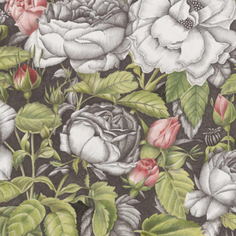 Papeles pintados panorámico rosas Anciennes