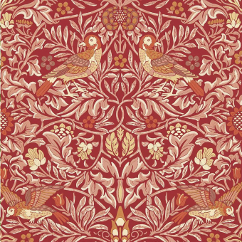 Papel pintado Bird