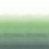Papeles pintados panor&aacute;mico Shoshi Designers Guild Jade PDG1163/03