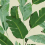 Papeles pintados panor&aacute;mico Banana Leaves Mindthegap Green/Beige WP20111
