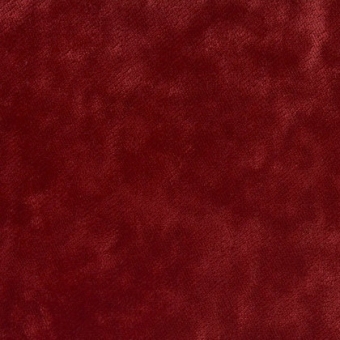 Terciopelo Moyarta