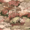 Papel pintado Puente Coordonn&eacute; Coral A00615