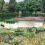 Papeles pintados panor&aacute;mico Jardin del Espejo Coordonn&eacute; Primavera A00640