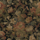 Papeles pintados panor&aacute;mico Vintage Flora Rebel Walls Ebony R19241