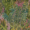 Tela Cascade linoen Union Cole and Son Green Leaf F121/3012