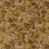 Tela Sunforest Clarke and Clarke OCHRE F1662/01